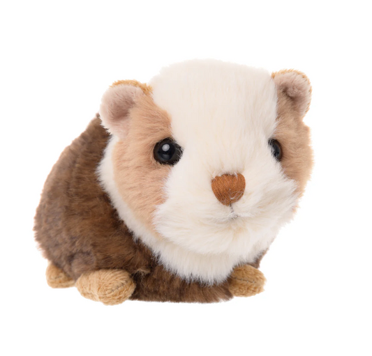 Piggie - Magpies Paducah