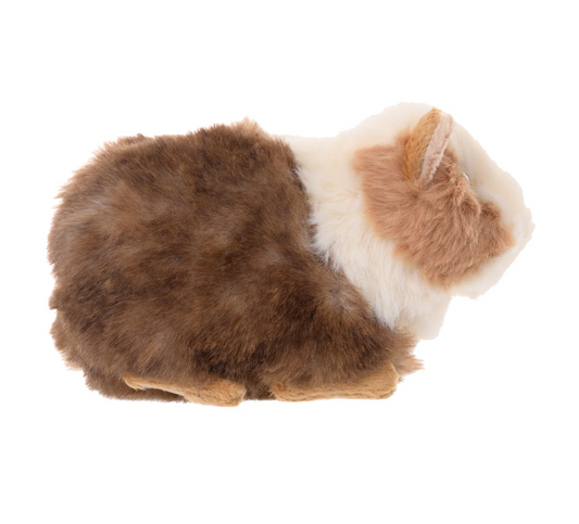 Piggie - Magpies Paducah