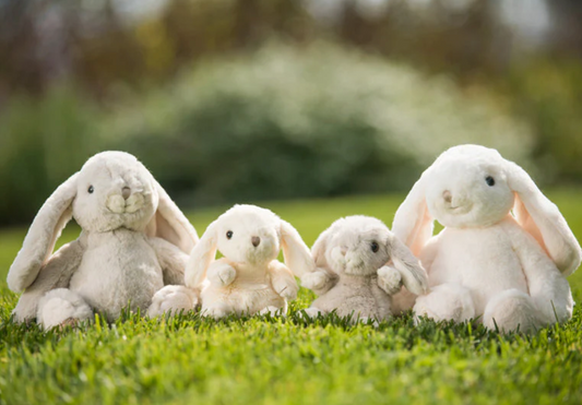 Kanini, Light Gray - Magpies Paducah