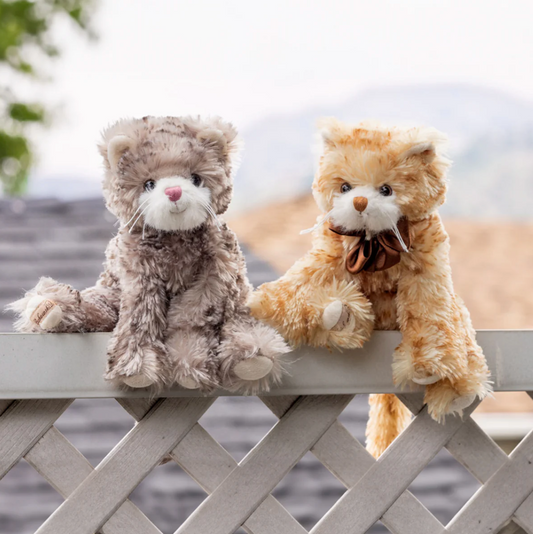 Loke - Magpies Paducah