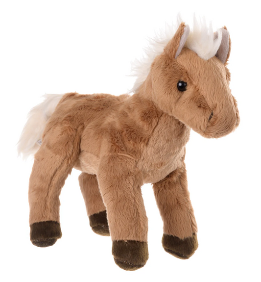 Baby Chocolate - Magpies Paducah