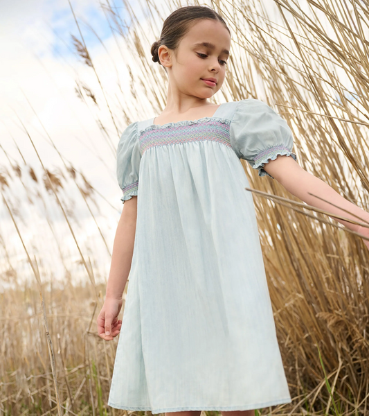 Puff Sleeve Smocked Dress, Soft Denim - Magpies Paducah