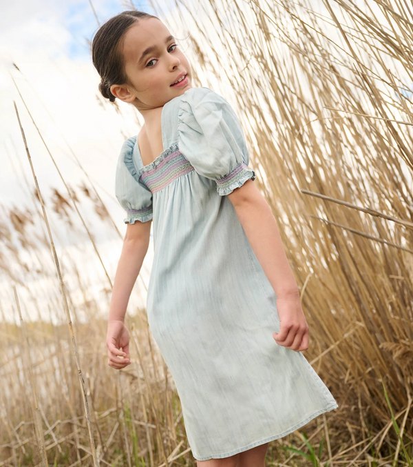 Puff Sleeve Smocked Dress, Soft Denim - Magpies Paducah