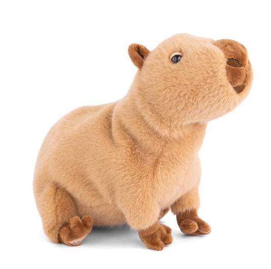 Theo - Magpies Paducah