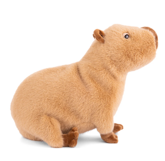 Theo - Magpies Paducah