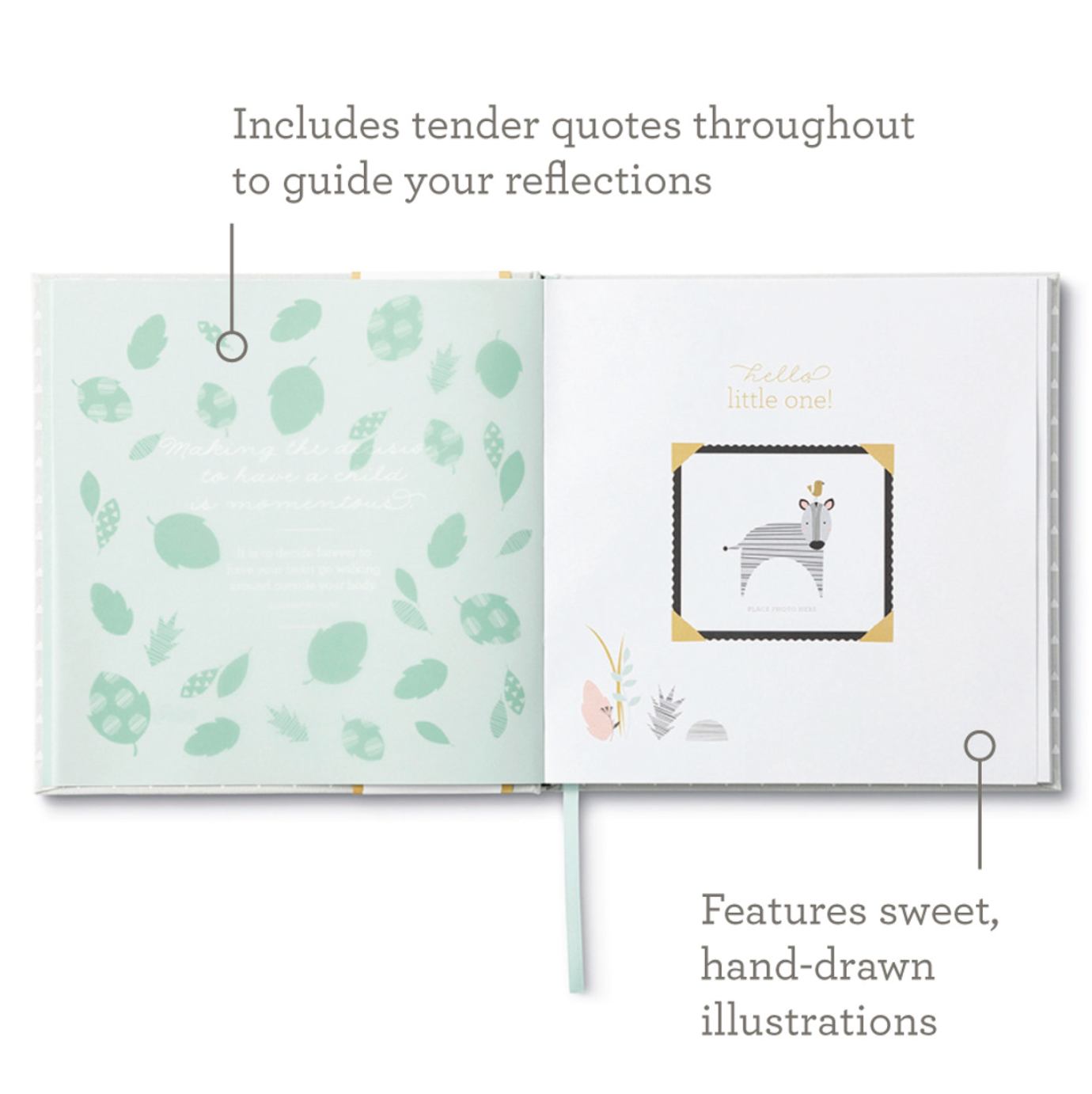 Hello Little One - A Baby Book - Magpies Paducah