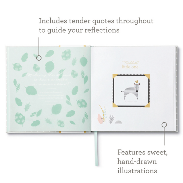 Hello Little One - A Baby Book - Magpies Paducah