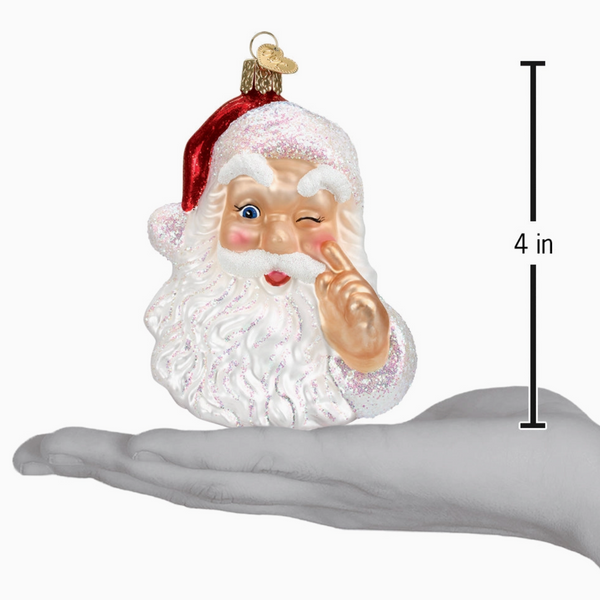 Night Before Christmas Ornament - Magpies Paducah