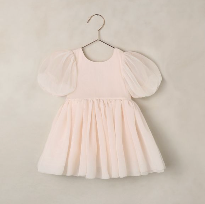 Sofia Dress, Blush - Magpies Paducah