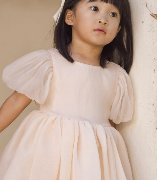 Sofia Dress, Blush - Magpies Paducah