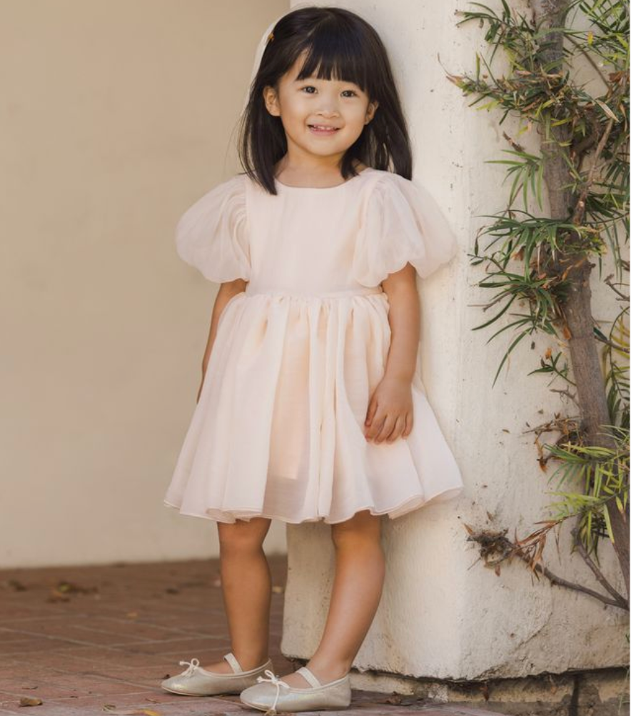 Sofia Dress, Blush - Magpies Paducah