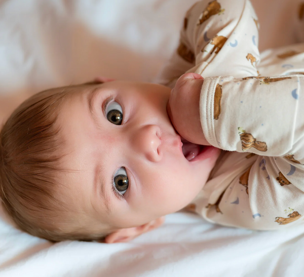 Modal Footie, Wildly Loved - Magpies Paducah