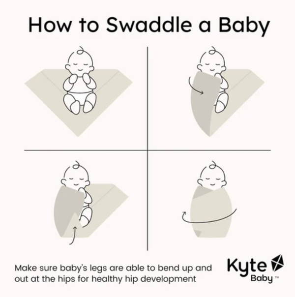 Swaddle Blanket, Strawberry Fields - Magpies Paducah