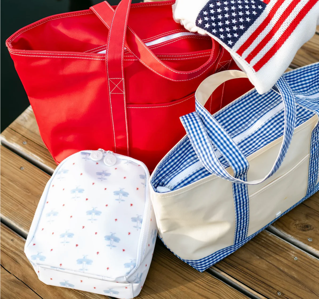 Bring It Lunch Bag, David's Airplane **PreORDER**
