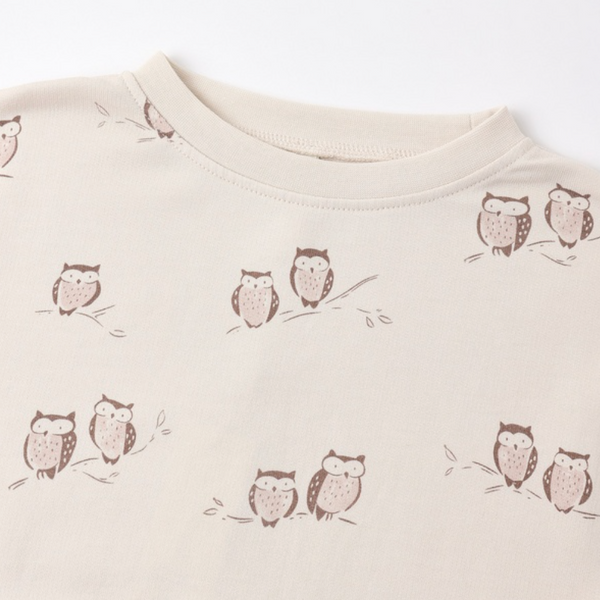 Raglan Dress, Owls