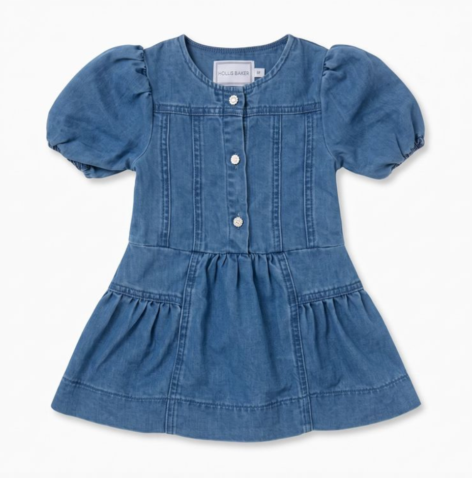 Brynn Dress, Denim