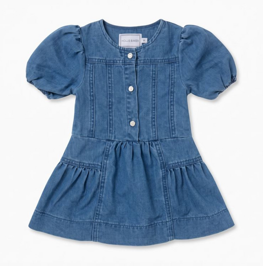 Brynn Dress, Denim