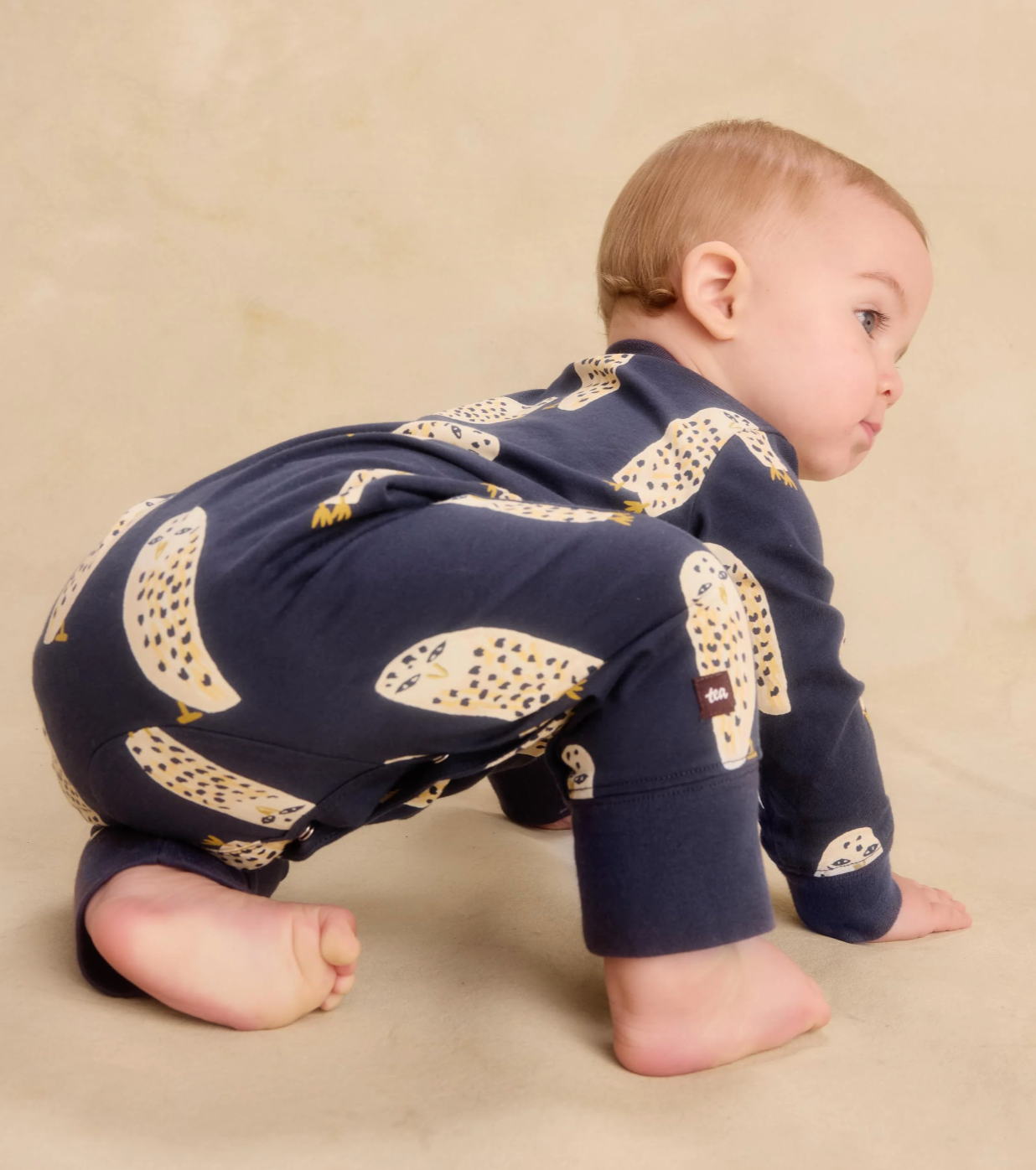 Long Sleeve Pocket Baby Romper, Owls