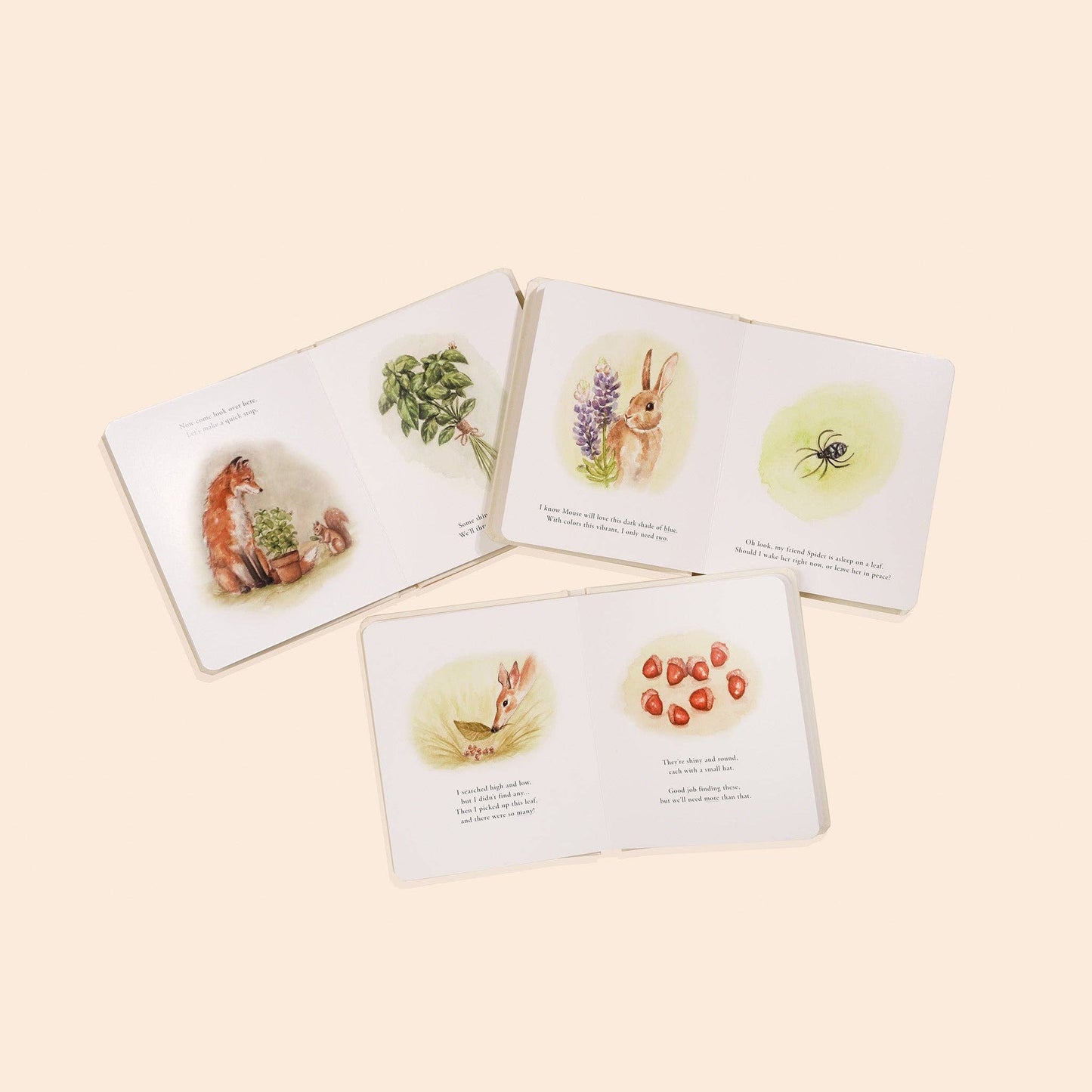 Our Little Adventures Board Book Box Set - Magpies Paducah