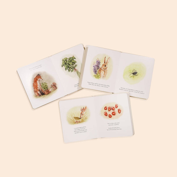 Our Little Adventures Board Book Box Set - Magpies Paducah