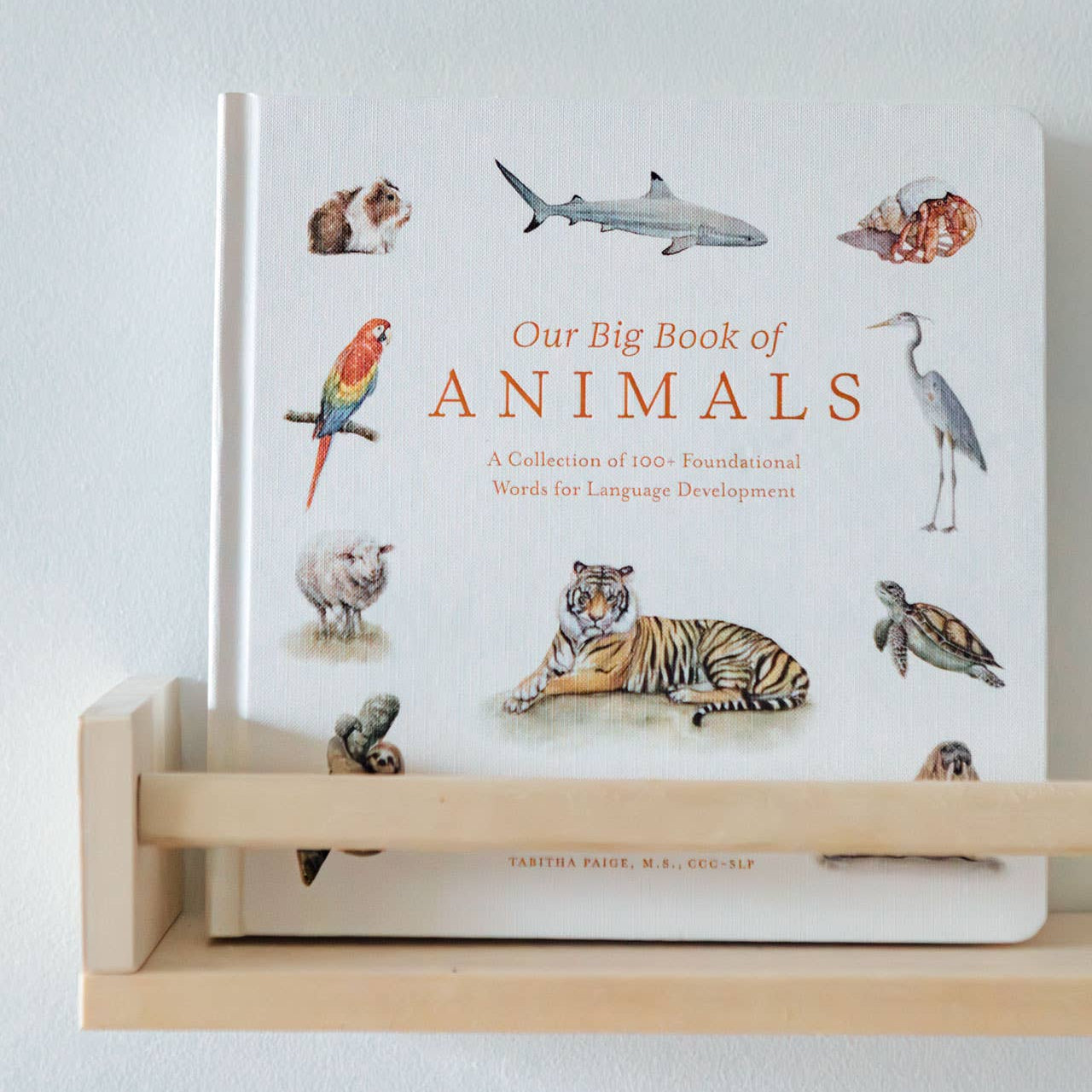 Our Big Book of Animals (Board Book) - Magpies Paducah