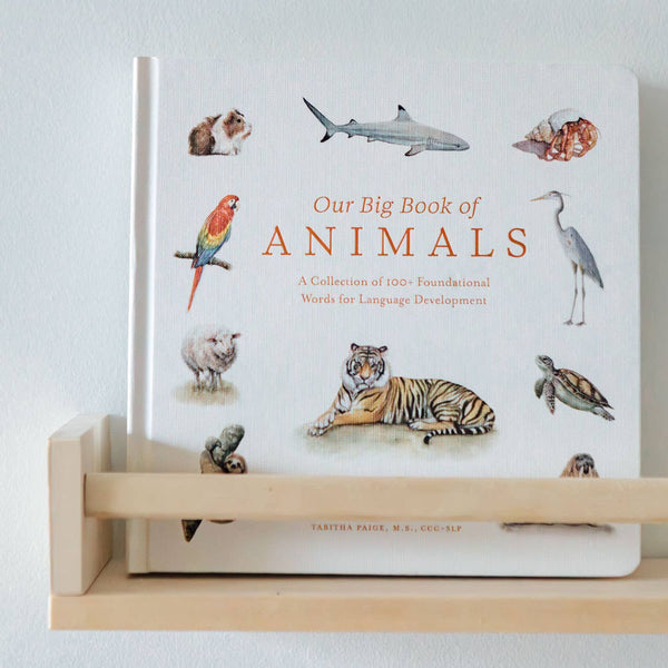 Our Big Book of Animals (Board Book) - Magpies Paducah