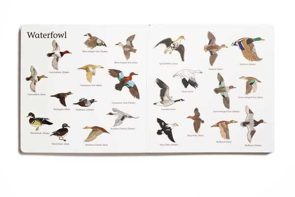 The Big Book of Hunting - Magpies Paducah