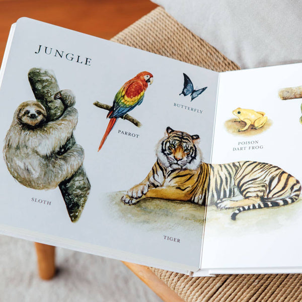 Our Big Book of Animals (Board Book) - Magpies Paducah