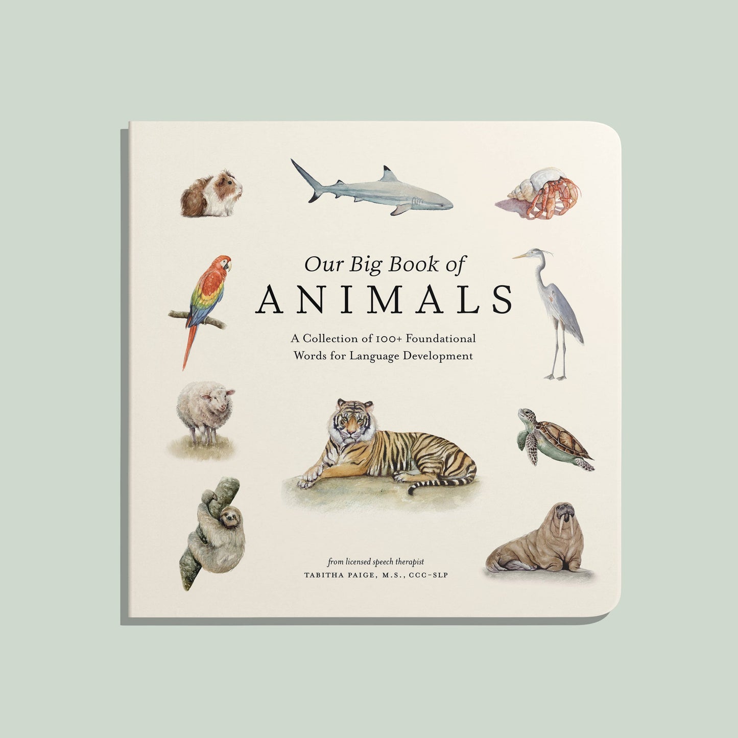 Our Big Book of Animals (Board Book) - Magpies Paducah