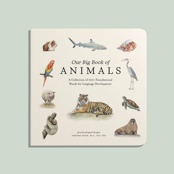 Our Big Book of Animals (Board Book) - Magpies Paducah