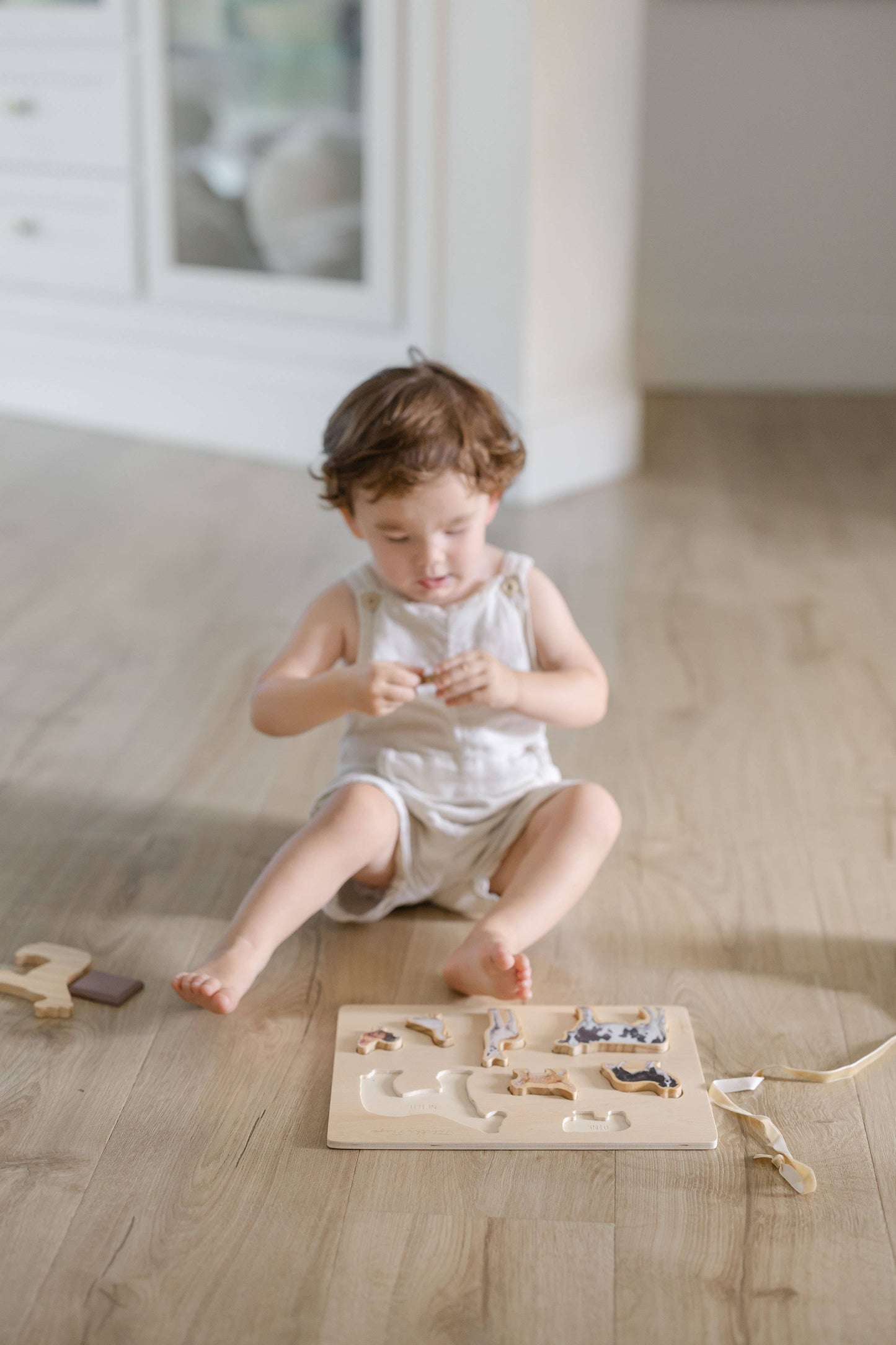 Farm Animals Wooden Puzzle: A Tabitha Paige Puzzle