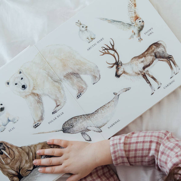Our Big Book of Animals (Board Book) - Magpies Paducah