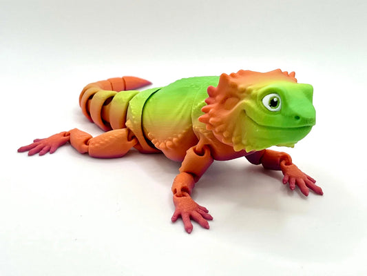 Bearded Dragon Fidget
