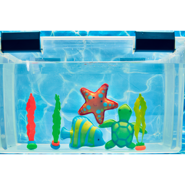 Fish Dive Toy Set - Magpies Paducah